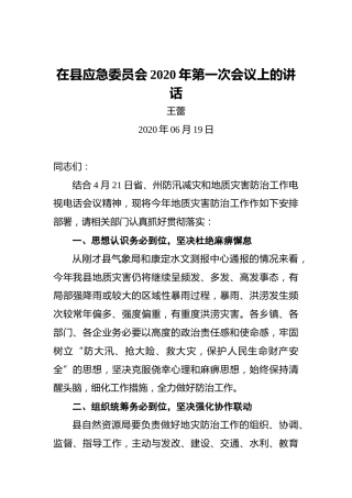 王蕾：在县应急委员会2020年第一次会议上的讲话