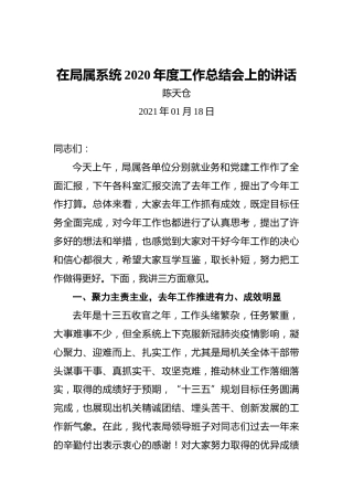 陈天仓：在局属系统2020年度工作总结会上的讲话