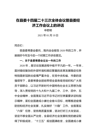 在县委十四届二十三次全体会议暨县委经济工作会议上的讲话（2021年01月19日）