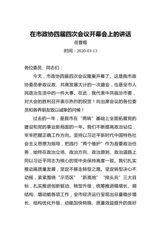 岳普煜：在市政协四届四次会议开幕会上的讲话（20200313）