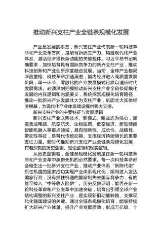 推动新兴支柱产业全链条规模化发展