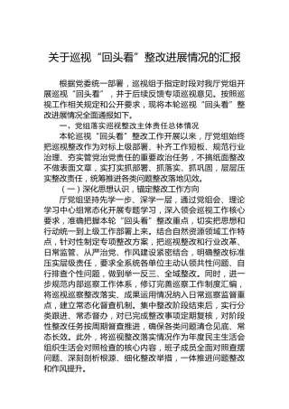 关于巡视“回头看”整改进展情况的汇报