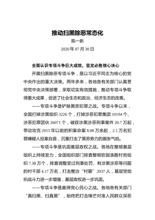 陈一新：推动扫黑除恶常态化