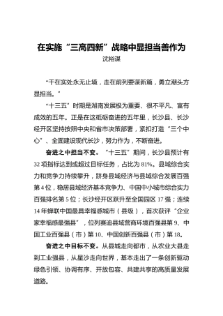 沈裕谋：在实施“三高四新”战略中显担当善作为