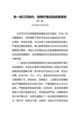 陈一新：来一场刀刃向内、刮骨疗毒式的自我革命