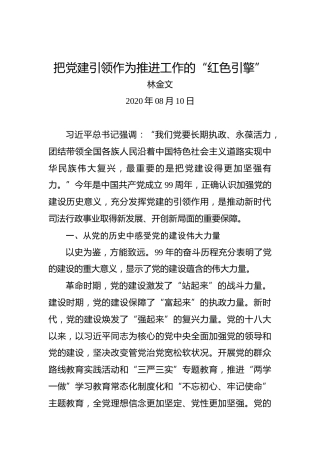 林金文：把党建引领作为推进工作的“红色引擎”