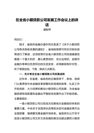 谌贻琴：在全省小额贷款公司发展工作会议上的讲话