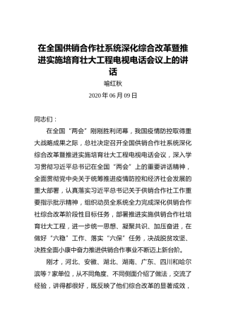 喻红秋：在全国供销合作社系统深化综合改革暨推进实施培育壮大工程电视电话会议上的讲话