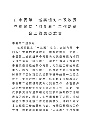 在市委第二巡察组对市发改委党组巡察回头看工作动员会上的表态发言