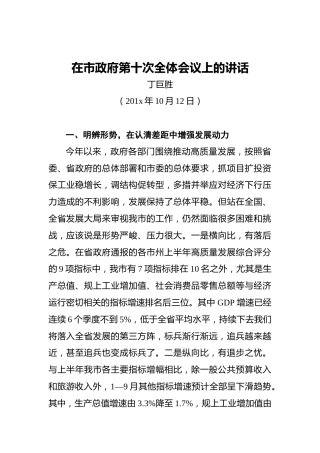 丁巨胜：在市政府第十次全体会议上的讲话