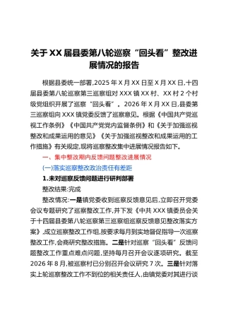 关于XX届县委第八轮巡察“回头看”整改进展情况的报告