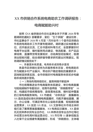 XX市供销合作系统电商助农工作调研报告：电商赋能助兴村