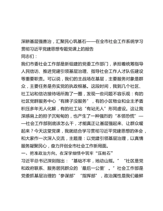 社会工作系统学习贯彻习近平党建思想党课报告