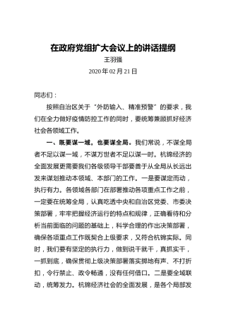 王羽强：在政府党组扩大会议上的讲话提纲