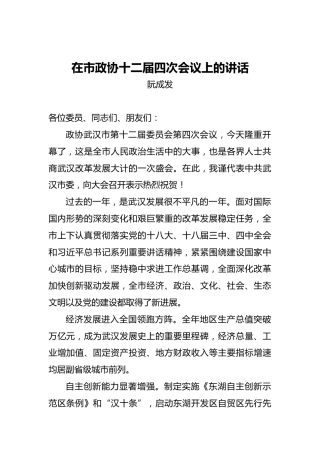 阮成发：在市政协十二届四次会议上的讲话