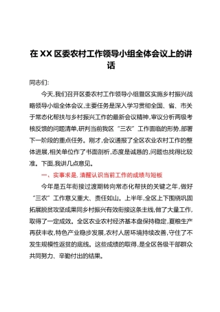 在XX区委农村工作领导小组全体会议上的讲话