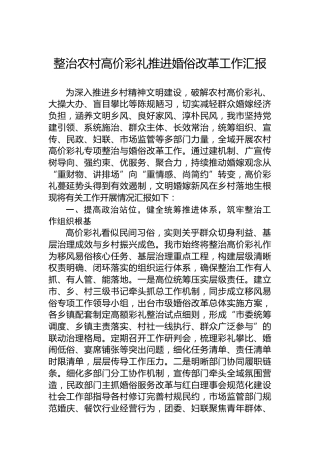 整治农村高价彩礼推进婚俗改革工作汇报