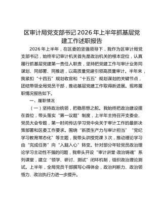 区审计局党支部书记2026年上半年抓基层党建工作述职报告