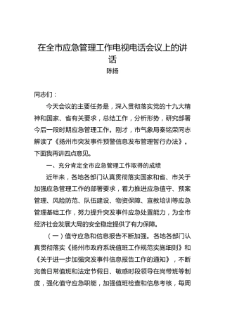 陈扬：在全市应急管理工作电视电话会议上的讲话