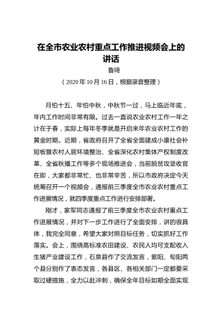 鲁琦：在全市农业农村重点工作推进视频会上的讲话