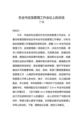 丁纯：在全市应急管理工作会议上的讲话