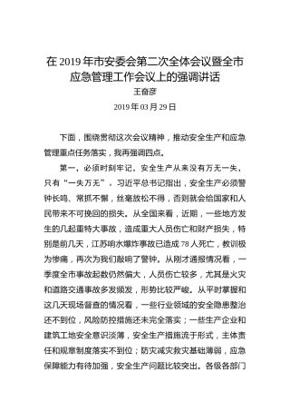 王奋彦：在2019年市安委会第二次全体会议暨全市应急管理工作会议上的强调讲话