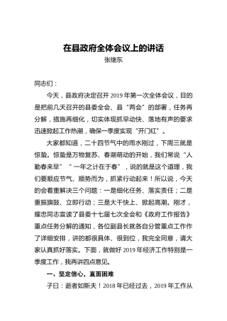张继东：在县政府全体会议上的讲话