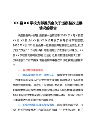 XX县XX学校支部委员会关于巡察整改进展情况的报告