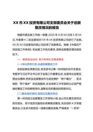XX市XX投资有限公司支部委员会关于巡察整改情况的报告