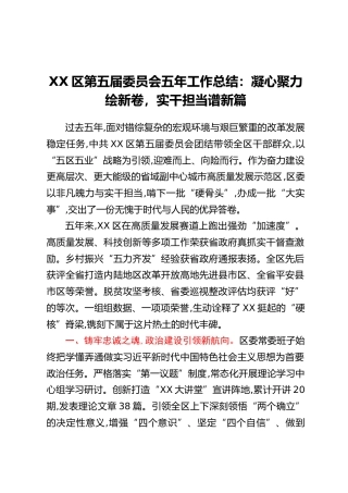 XX区第五届委员会五年工作总结：凝心聚力绘新卷，实干担当谱新篇
