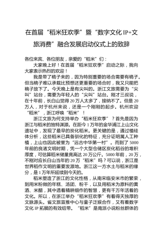 在首届“稻米狂欢季”暨“数字文化IP文旅消费”融合发展启动仪式上的致辞