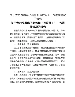 关于大力发展电子商务和互联网工作进展情况的报告