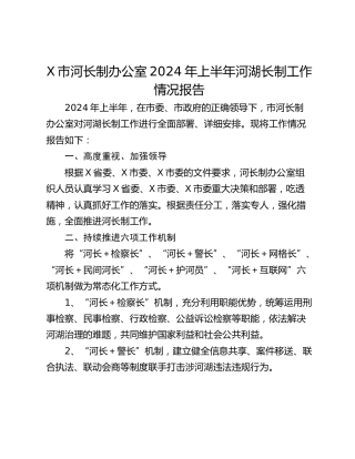 X市河长制办公室2024年上半年河湖长制工作情况报告