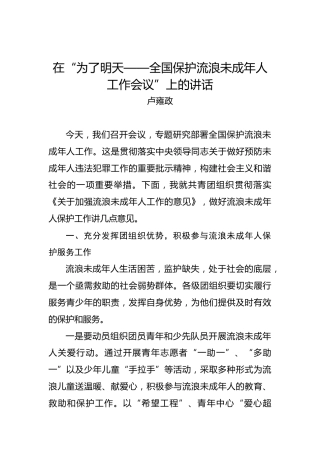 卢雍政：在“为了明天——全国保护流浪未成年人工作会议”上的讲话