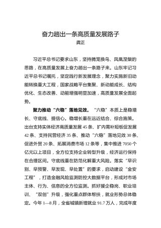 龚正：奋力趟出一条高质量发展路子