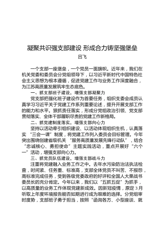 吕飞：凝聚共识强支部建设形成合力铸坚强堡垒