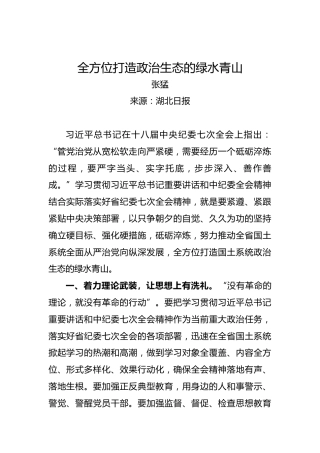 张猛：全方位打造政治生态的绿水青山