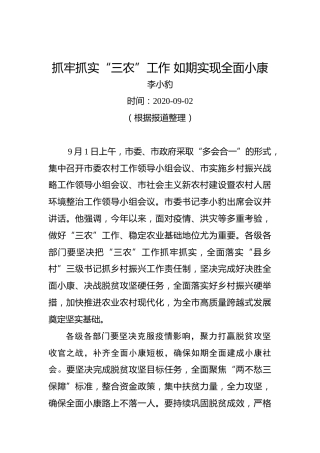 李小豹：抓牢抓实“三农”工作如期实现全面小康