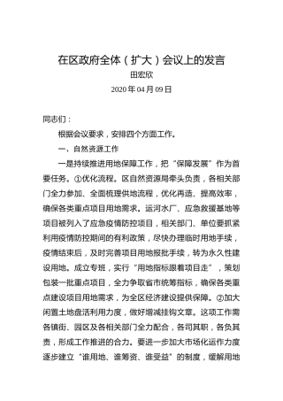 田宏欣：在区政府全体（扩大）会议上的发言