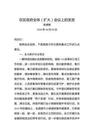 张德智：在区政府全体（扩大）会议上的发言