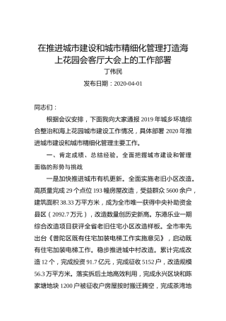 丁伟民：在推进城市建设和城市精细化管理打造海上花园会客厅大会上的工作部署