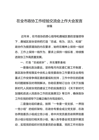 徐强：在全市政协工作经验交流会上作大会发言