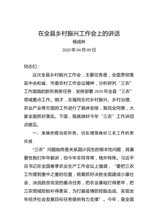 杨成林：在全县乡村振兴工作会上的讲话