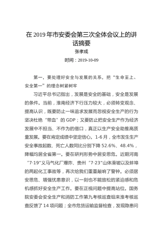 张孝成：在2019年市安委会第三次全体会议上的讲话摘要
