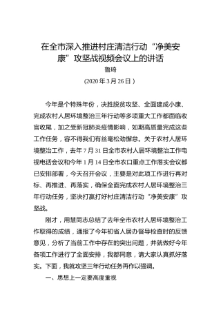 鲁琦：在全市深入推进村庄清洁行动“净美安康”攻坚战视频会议上的讲话