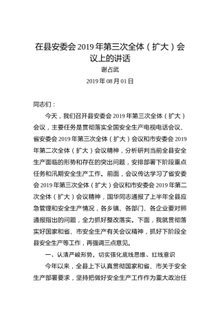 谢占武：在县安委会2019年第三次全体（扩大）会议上的讲话