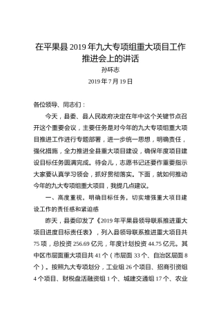 孙环志：在平果县2019年九大专项组重大项目工作推进会上的讲话