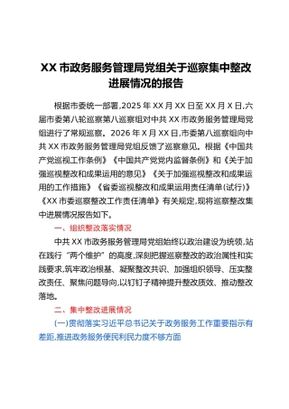 XX市政务服务管理局党组关于巡察集中整改进展情况的报告