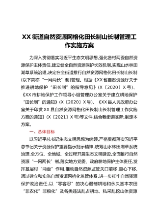 XX街道自然资源网格化田长制山长制管理工作实施方案