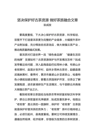 阮成发：坚决保护好古茶资源做好茶旅融合文章